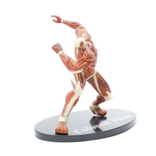 Découvrez le Titan Colossal avec cette figurine de 18 cm, fidèle au manga d'Attaque des Titans